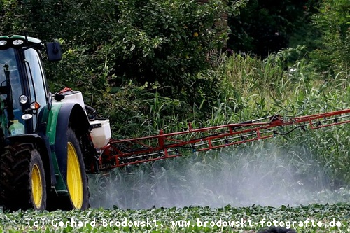 Raubwürger Feinde - Pestizide, Insektizide