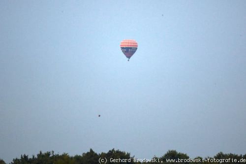 Ballonflieger im Lebensraum vom Uhu