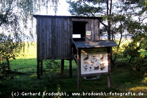 Vogelbeobachtungsplatz in Deutschland