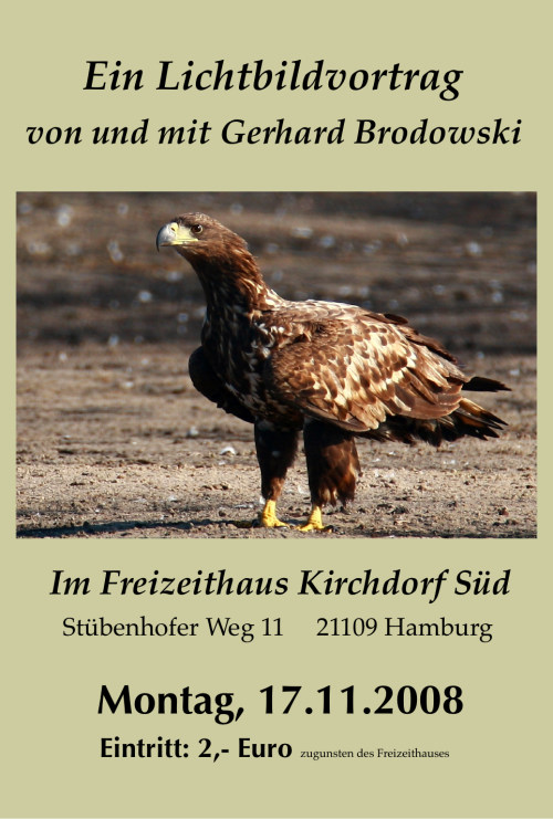 Die heimische Vogelwelt