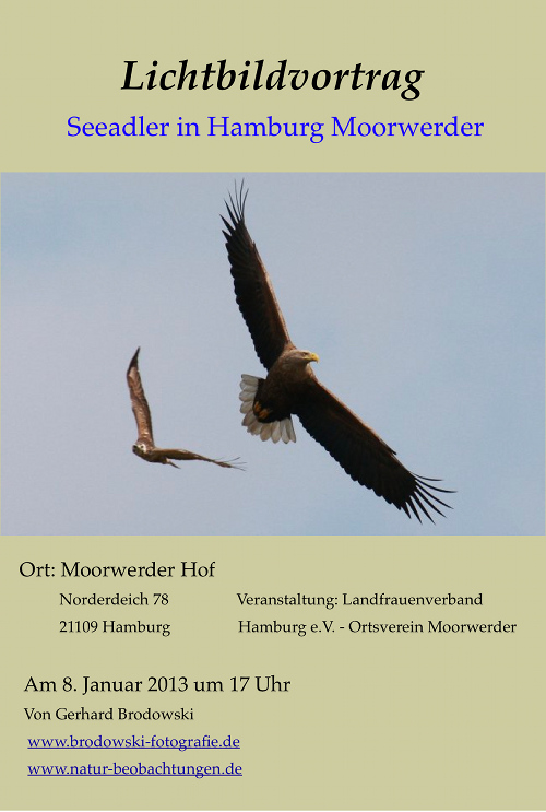 Vortrag: Seeadler in Moorwerder
