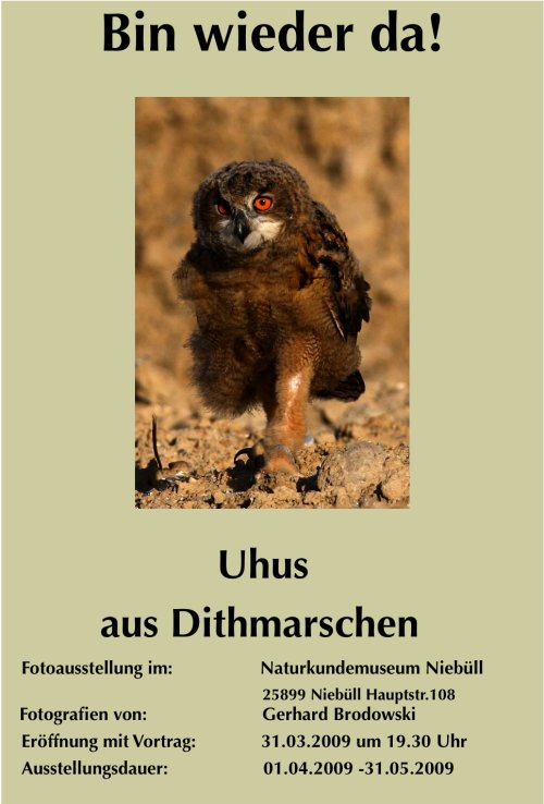 Uhus aus Dithmarschen