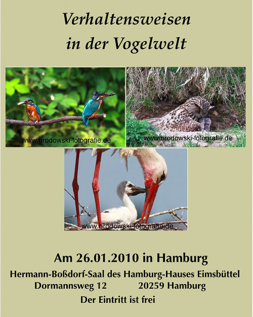 Verhaltensweisen in der Vogelwelt